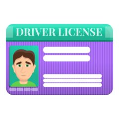 Driver license right icon, cartoon style